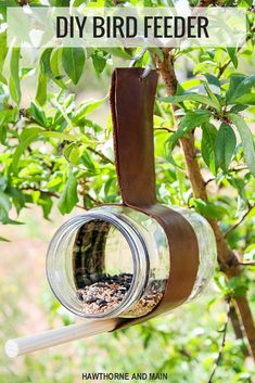 a bird feeder hanging from a tree with the words diy bird feeder above it