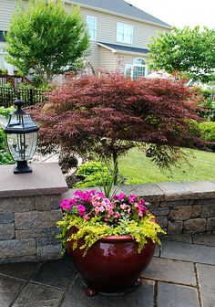 a large potted plant sitting on top of a stone wall next to a lamp post