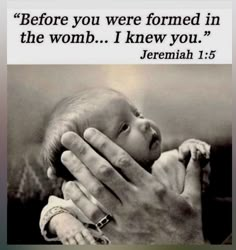 a hand holding a baby with the words before you were formed in the word i knew you