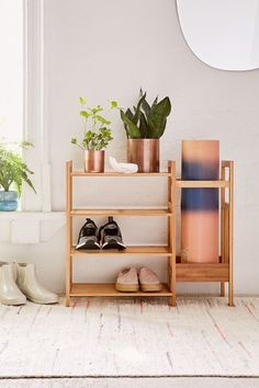 there is a shelf with shoes and plants on it