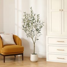 an orange chair sitting next to a white cabinet and a potted plant in front of it