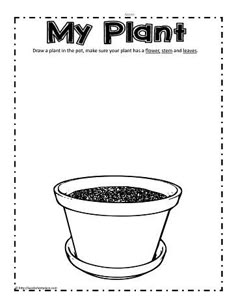 an image of a potted plant with the words, my plant