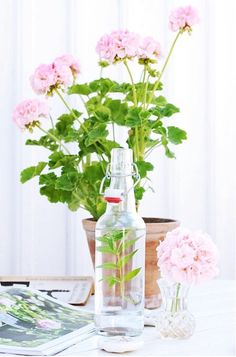 pink carnations in a clear glass bottle next to a potted plant on a table