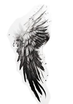 an artistic black and white drawing of a wing