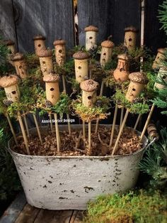 a potted plant filled with lots of plants and wooden sticks sticking out of it