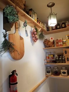 the shelves are filled with spices and herbs