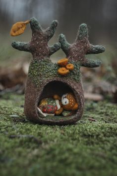 a close up of a tree house with moss growing on the ground