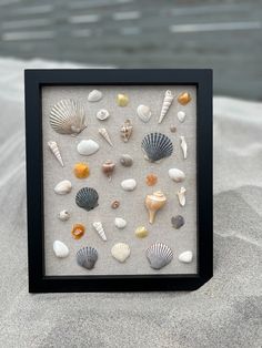 sea shells are displayed in a shadow box on the sand by the ocean waterside