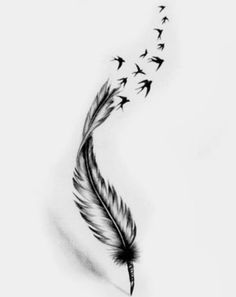 a black and white drawing of a feather with birds flying around it