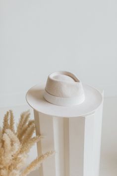 White australian wool fedora with leather band. Chic White Hat For Fall, Chic White Fall Hat, Classic White Hat For Fall, Fall Fasion, White Fedora, Wool Fedora, You Are Perfect, Black Wool, Leather Band