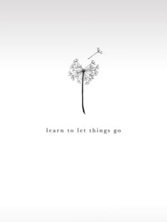 a dandelion with the words learn to let things go