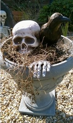 there is a skull and a bird sitting in a planter