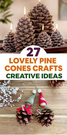 pine cones are arranged on top of each other with the words 27 lovely pine cone crafts creative