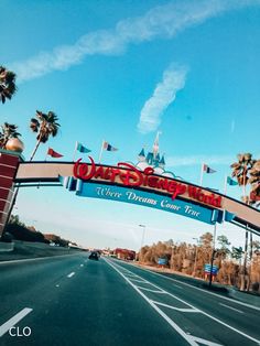 the entrance to disney world with palm trees and blue sky in the backround