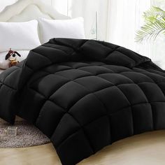 a black comforter on a bed in a room with white walls and pillows, next to a stuffed animal