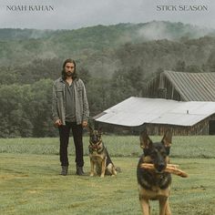 a man standing next to two dogs in a field