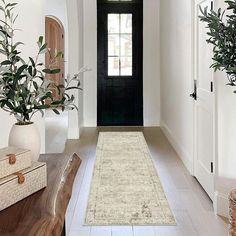 an entry way with a rug and plants on the floor