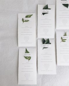 the wedding stationery is laid out on top of each other, with green leaves