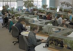 people working in an office with fish tanks on the desks and plants growing out of them