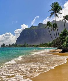 a beach with palm trees and blue water