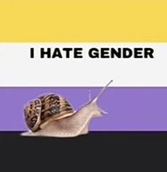 Funny Flags, Nonbinary Flag, Non Binary Pride