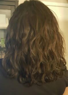 Natural Wavy Hair Short Haircuts, Semi Wavy Hairstyles, 2b Wavy Hair Haircuts Medium, Short Wavy Hair Brown, Shoulder Length Hair Cuts With Layers For Wavy Hair Medium, Medium Length Natural Wavy Hair, 2b Shoulder Length Hair With Layers, Brown Wavy Short Hair, Short 2b Hair