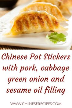 chinese pot stickers with pork, cabbage and green onion and sesame oil filling on a white plate