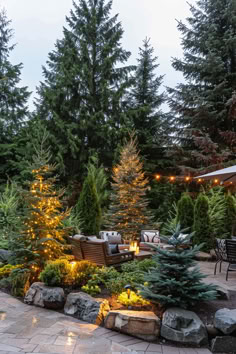 A guide on creating a privacy landscape using conifer plants for added greenery and seclusion in your outdoor space. Tree Filled Backyard, Landscape Ideas Trees, Calgary Landscaping Ideas, Forest Backyard Landscaping, Evergreen Backyard Landscaping, Outdoor Patio Landscaping Ideas, Tree Island Landscaping, Rustic Cabin Landscaping Ideas, Pnw Landscape Design