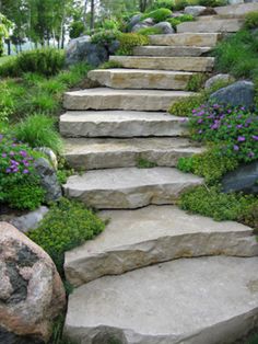 stone steps leading up to the top of a hill with purple flowers on each side