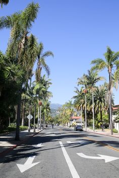 an empty street with palm trees on both sides