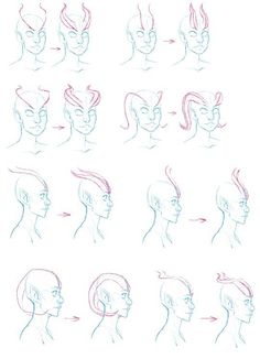 a bunch of different types of head shapes