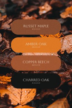 the names of different types of autumn leaves in brown, orange and black colors on top of each other