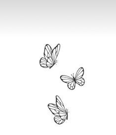 three butterflies flying in the air