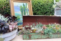 an old trunk is filled with succulents and other plants next to a painting