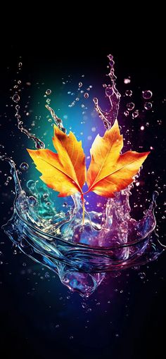 two leaves floating in the water with splashes on it's surface and blue background