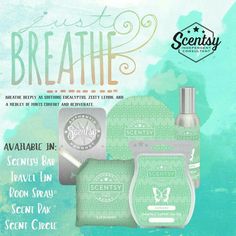 an advertisement for the scenty scented wicklesss brand, with its name on it