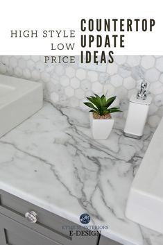 a bathroom counter with two sinks and a potted plant