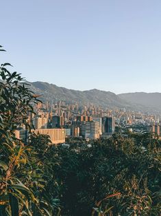 the city is surrounded by tall buildings and green trees, with mountains in the background