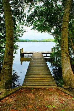 a wooden dock surrounded by trees and water