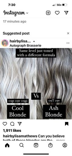 Ashy Blonde Toner Formula, Ash Blonde Toner Formula, Cool Blonde Shades Eq Formula, Ashy Blonde Shades Eq Formula, Shades Eq Silver Toner Formulas, Shades Eq Grey Toner Formulas, Silver Hair Color Formula, Cosmetology Tips, Haircolor Formulas