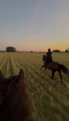 two people riding horses in a field at sunset