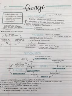 a paper with writing on it that says conagi and the words in different languages