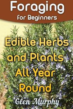 the cover of foraging for beginners edible herbs and plants all year round by glenn murphy