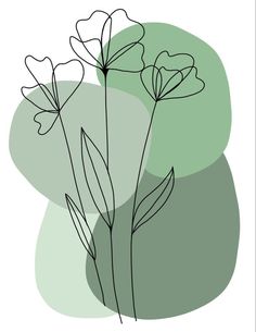 three flowers are shown in black and white on a light green background, with the outline of one flower to the side