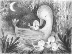 a pencil drawing of a mother duck and her babies