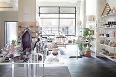 a room filled with lots of different types of rocks and plants on shelves next to each other