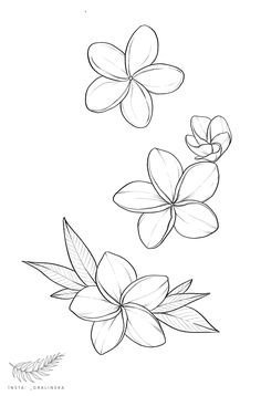 two flowers with leaves on the side and one flower in the middle, drawn by hand