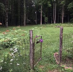 an open gate in the middle of a grassy area with flowers growing out of it