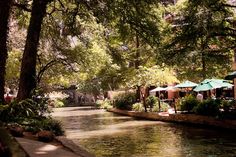 people are sitting at tables on the side of a river in a park area with trees and umbrellas