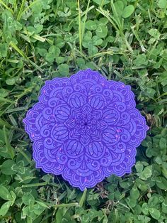 a purple doily sitting on top of green grass